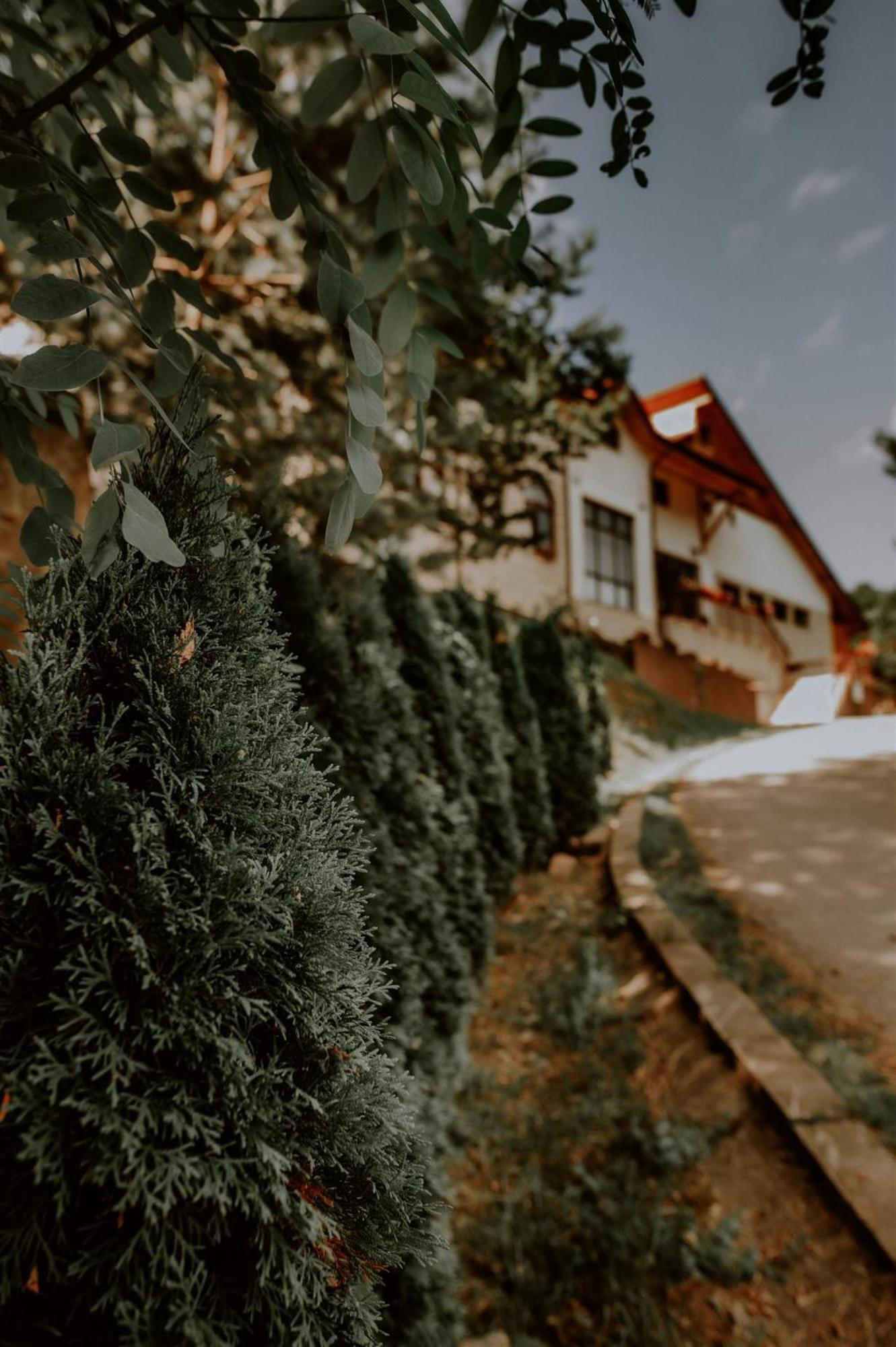 Pensiunea Poiana Verde Slănic-Moldova Exteriér fotografie