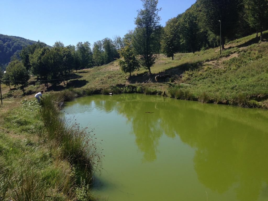 Pensiunea Poiana Verde Slănic-Moldova Exteriér fotografie