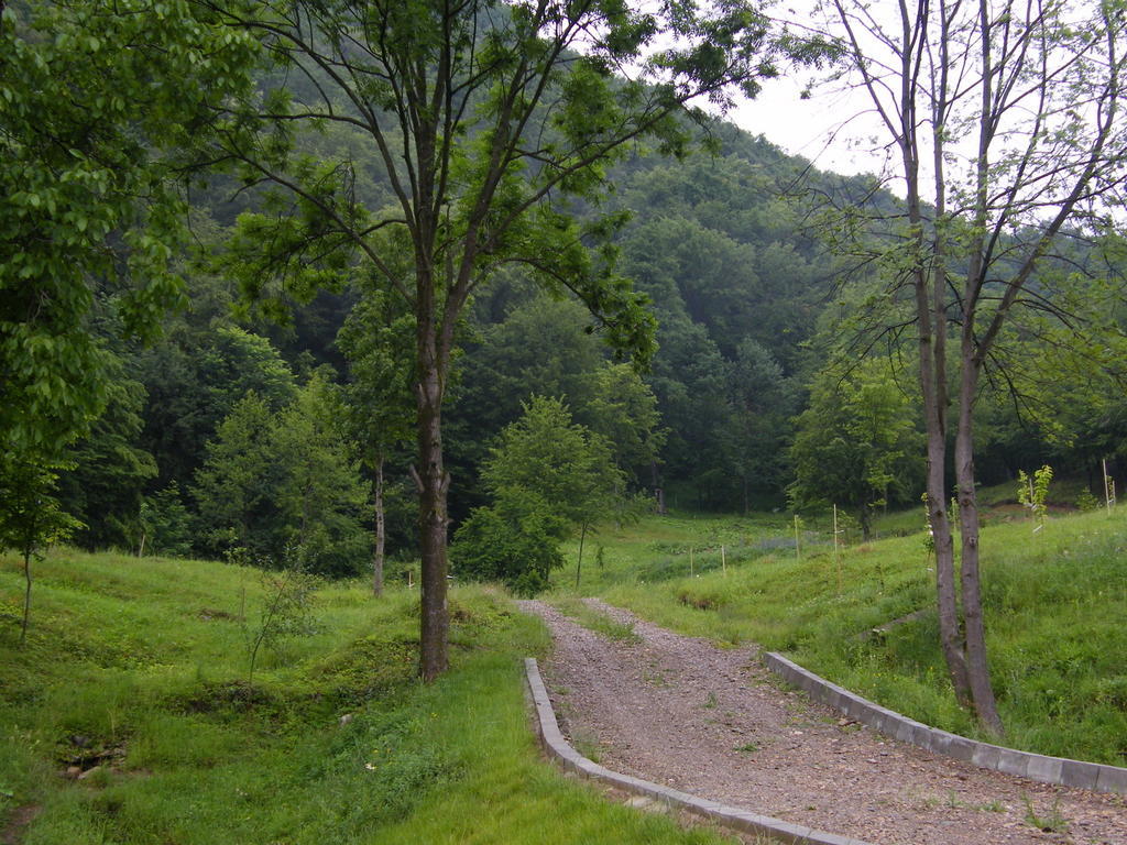 Pensiunea Poiana Verde Slănic-Moldova Exteriér fotografie